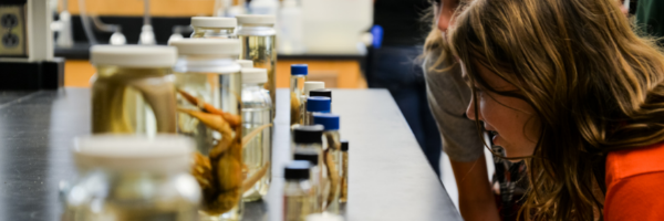 A student leans down to inspect specimens preserved in jars